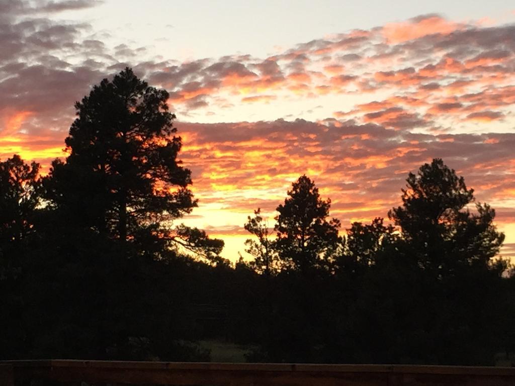 Elkwood Manor Bed & Breakfast Pagosa Springs Buitenkant foto